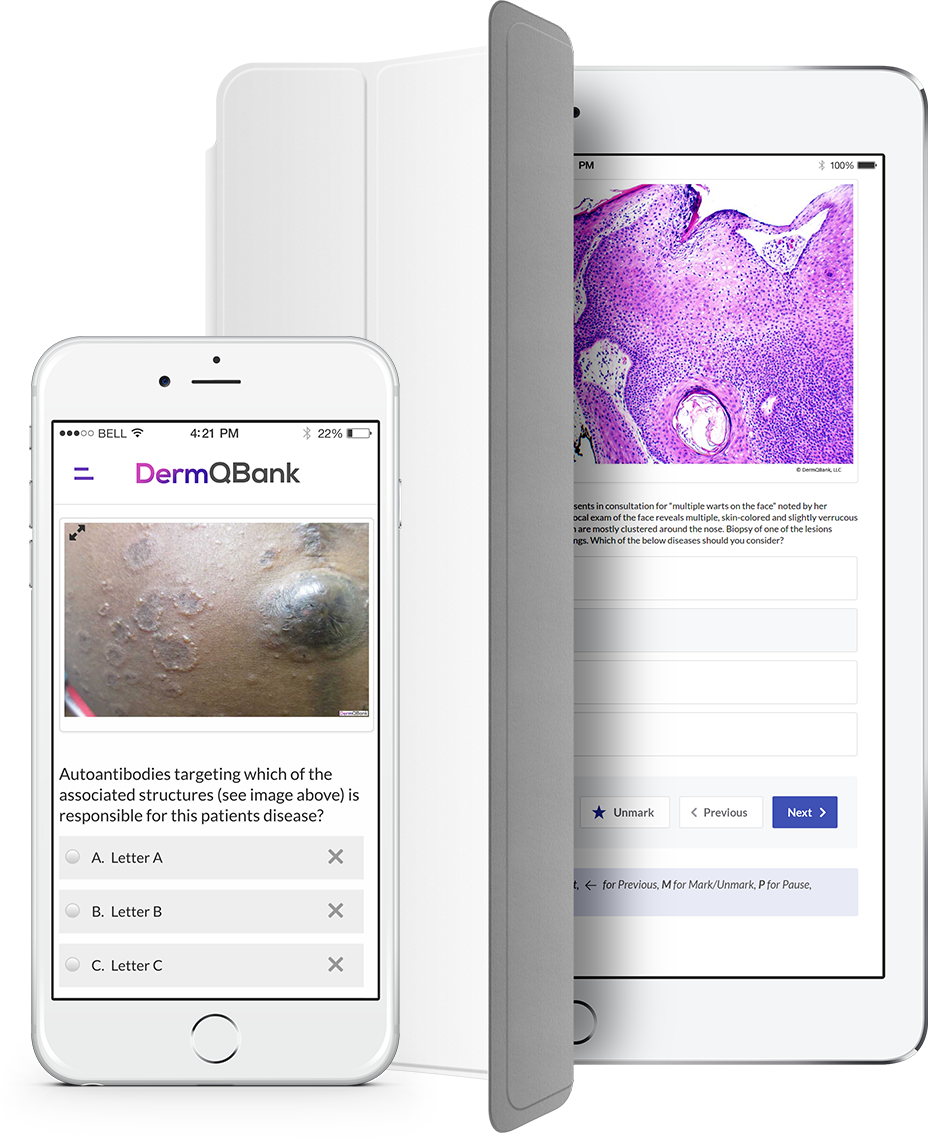 DermQBank mobile view